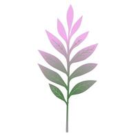 Leaf design element vector
