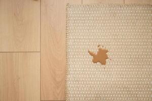 Coffee spill on woven texture carpet in a modern room setting photo