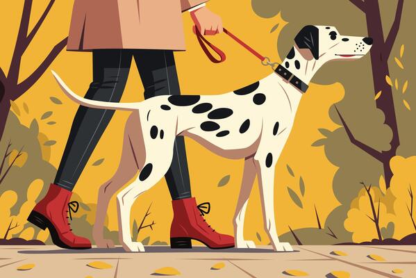 A vibrant illustration scene featuring a stylish person walking their elegant Dalmatian. Colorful leaves surround them, creating a warm and inviting atmosphere perfect for pet lovers.