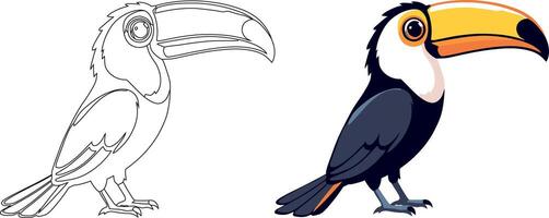 colorful toucan and line art version standing side by side vector