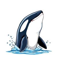 Vsai killer whale emerging from water with splashing waves vector