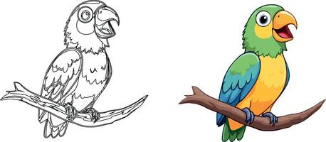 colorful parrot sitting and singing on a branch with line art version vector