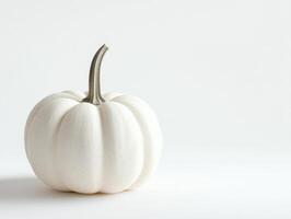 Minimalist decor with a white pumpkin on a clean background photo