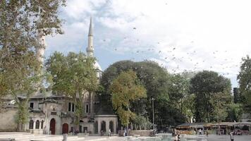 turkey istanbul 18 march 2025, Beautiful park view near historic mosque with surrounding nature video