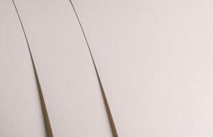 Paper background with matte texture. Layered curved surface in white, cream, and beige tones, soft photo