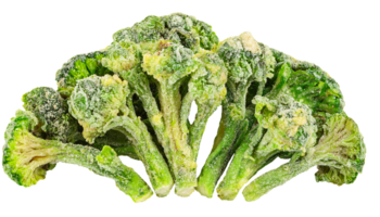 dried broccoli floret texture with vibrant green color and frosted surface on isolated background for healthy food and cooking ingredient png