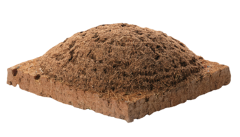 ant nest mound made from soil and natural fiber on isolated background, ecological insect habitat for environmental education and research png