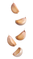 raw garlic cloves falling in air isolated on white background, realistic food ingredient concept for cooking and spicy cuisine png