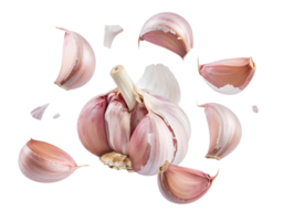 exploding garlic bulb with cloves and skin flying in air, broken garlic splash isolated on white background, dynamic culinary ingredient explosion png