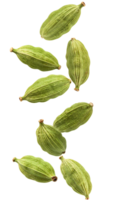 multiple green cardamom pods falling in motion, aromatic spice with ribbed texture on isolated background for culinary and herbal uses png