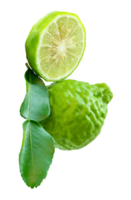 Bergamot fruits or kaffir lime with half and green leaf in stack isolated with clipping path in file format png