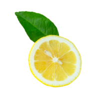 Front view of ripe yellow lemon fruit in slice in one circle with green leaf isolated in file format png