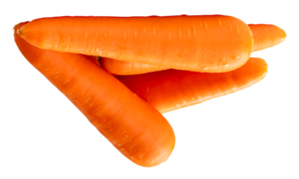 Four fresh orange carrot roots in stack isolated with clipping path in file format png