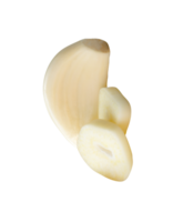 Slices and clove of peeled garlic in stack isolated with clipping path in file format png