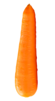 Single orange carrot root isolated with clipping path in file format png