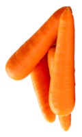 Top view of four fresh orange carrot roots in stack isolated with clipping path in file format png