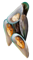 Steamed green mussels in stack isolated with clipping path in file format png