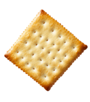 Single Golden Brown Square Cracker Isolated on Transparent Background png