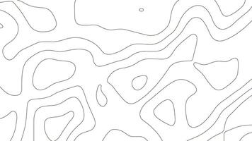 White Abstract Topographic Line Background. Minimal Clean Map Design vector