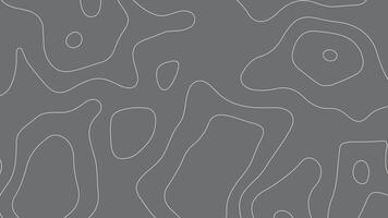 Gray Abstract Topographic Map Background. Minimal Contour Line Design vector