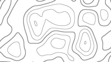 Abstract Topographic Contour Lines Background vector