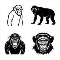 set of four different monkey heads vector
