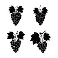 black grapes on a branch icon set vector