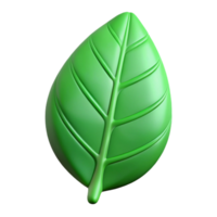 striking dramatic victorian Clean lines outline a stylized leaf. Flat green. with Scalable Design. authentic png