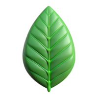 immaculate contemporary Symmetrical leaf with clean lines. Flat green. Single-weight stroke with Scalable Design. crisp png