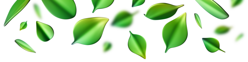 A vibrant header with green leaves falls gracefully, rendered in 3D, isolated on transparent background. Feelings of freshness and nature's tranquility. Top border, panoramic design element. png