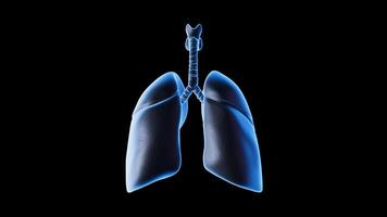 Lung Structure Display video