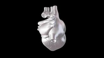 Silver Heart Model 3D Animation Display video