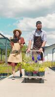 The plot is inspected by two gardeners, a man and a woman. Description of plants using a tablet and collection of plants and herbs from the site and their video