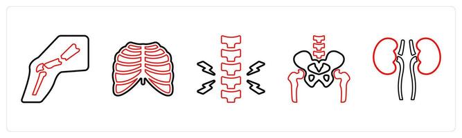 A set of 5 medical icons as broken leg, radiology, chiropratic in red line color vector