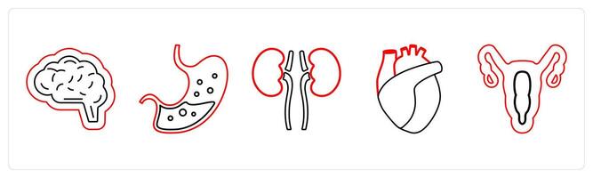 A set of 5 medical icons as neurosurgery, gastroneterology, pulmonology in red line color vector