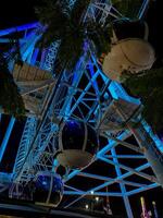 Close-up of ferris wheel cabins illuminated with vibrant blue neon lights at night framed by tropical palm leaves, creating a festive and magical atmosphere perfect for leisure and travel themes photo