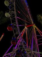 Colorful illuminated ferris wheel at night with vibrant neon lights and palm trees under a dark sky, creating a festive and magical tropical atmosphere perfect for travel and leisure themes photo