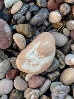Close-up of colorful pebble stones on a beach with a large textured stone surrounded by smooth rocks in natural earthy tones, creating a peaceful organic background perfect for nature themes photo