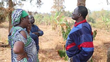 An African farmer talks about work with his collaborators in the fields video