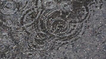 Raindrops falling into puddles on the sidewalk, creating ripples. video