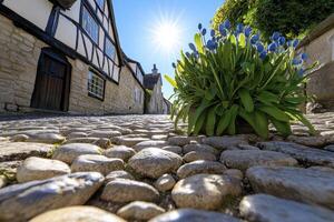 Sunlit Cobblestone Street with Blue Flowers and Historic Buildings photo