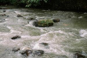 River rapids rush over mossy boulders, creating a dynamic waterscape photo