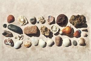 Seashells and rocks creating a pattern on the beach sand photo