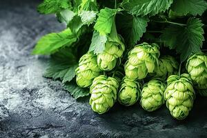 Fresh green hops branch lying on dark stone table photo