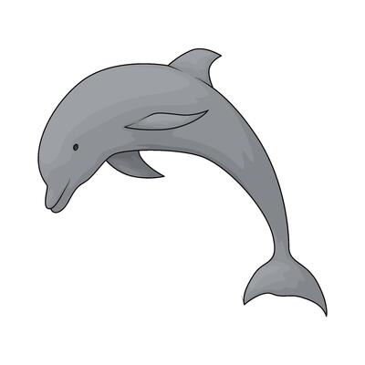 cute dolphin illustrations