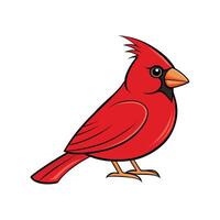 Red Cardinal Perched Calmly with Bright Red Feathers vector