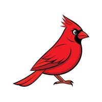 Bold Red Cardinal Perched Calmly with Bright Red Feathers vector