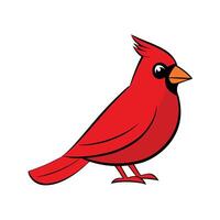 Cardinal Perched Calmly with Bright Red Feathers vector