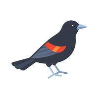 Red Winged Blackbird Flat Icon 1 vector