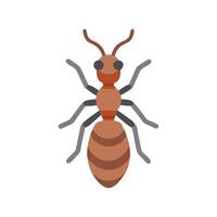 Queen Ant Flat Icon 3 vector